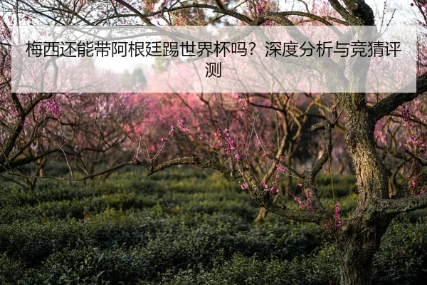 梅西还能带阿根廷踢世界杯吗？深度分析与竞猜评测