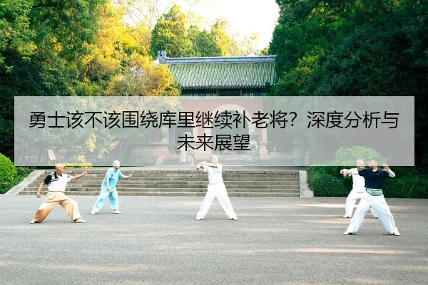 勇士该不该围绕库里继续补老将？深度分析与未来展望
